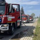 Fotka nr 5 z 23