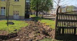 zdjęcie nr 15
