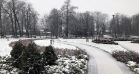 zdjęcie nr 7