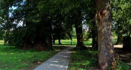 zdjęcie nr 7