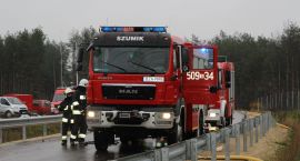 zdjęcie nr 9