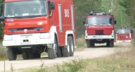 Ćwiczenia ratownicze V Kompanii Gaśniczej Narew Wojewódzkiego Odwodu Operacyjnego w dn....