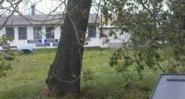 zdjęcie nr 8