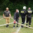 zdjęcie nr 117