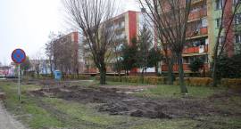 zdjęcie nr 7