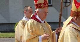 zdjęcie nr 8