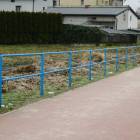 zdjęcie nr 31