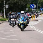 Fotka nr 2 z 218
