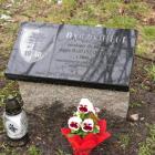 zdjęcie nr 113
