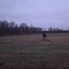 fot. OSP KSRG Rutki-Kossaki