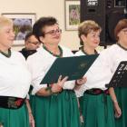 zdjęcie nr 16