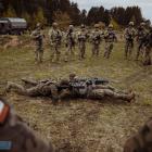 Fotka nr 2 z 16