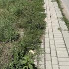 zdjęcie nr 15