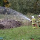 zdjęcie nr 96