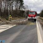zdjęcie nr 20
