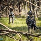Fotka nr 1 z 12