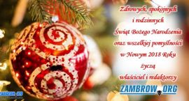 zdjęcie nr 20