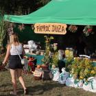 zdjęcie nr 13