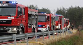 zdjęcie nr 50