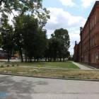 zdjęcie nr 12