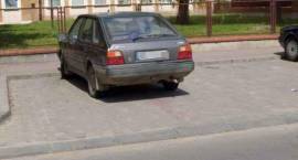 zdjęcie nr 14