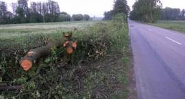 Rozpoczęły się prace przy budowie drogi nr 66, 15 km od Zambrowa - 17.05.2008 r. /Fot....