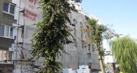 Prace inwestycyjne zlecone przez ZN w 2009 r. wykonano przy 21 budynkach