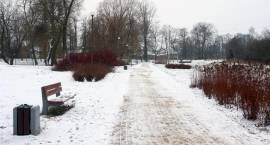 zdjęcie nr 22