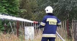 Strażacy walczyli z żywiołem w Grądach Woniecko