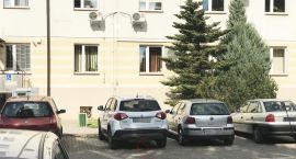 zdjęcie nr 25