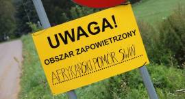 zdjęcie nr 8