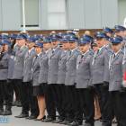 zdjęcie nr 164