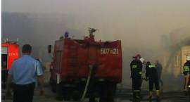 zdjęcie nr 9