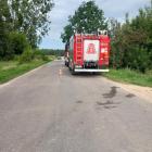 Fotka nr 2 z 6