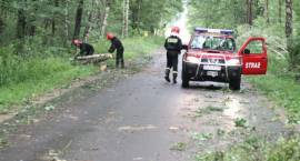 Skutki nawałnicy jaka przeszła nad powiatem zambrowskim 1 lipca 2012 r.