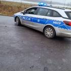 Fotka nr 4 z 5