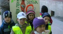 zdjęcie nr 7
