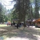 zdjęcie nr 49