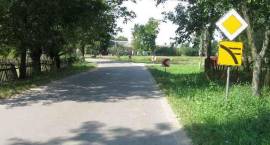 zdjęcie nr 8