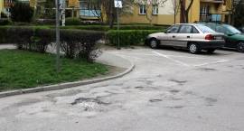 zdjęcie nr 11