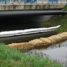 Fotka nr 5 z 18