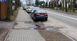zdjęcie nr 7