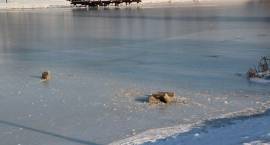 Uwaga na zamarznięte zbiorniki wodne