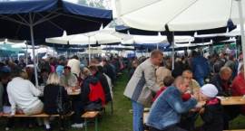 zdjęcie nr 15