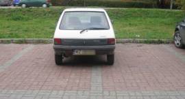 zdjęcie nr 7