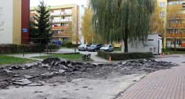 zdjęcie nr 8
