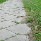 zdjęcie nr 12