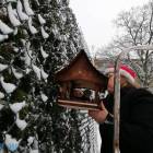 zdjęcie nr 72