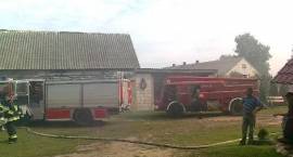zdjęcie nr 8