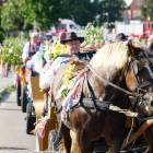 zdjęcie nr 95